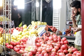 نمایشگاه انار و میوه های قرآنی