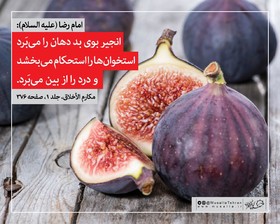 پوستر/ میوه‌های قرآنی