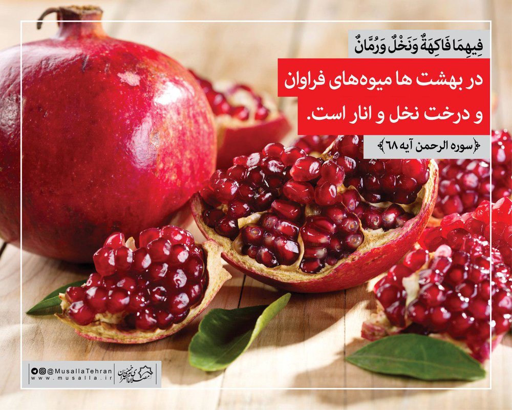 پوستر میوه‌های قرآنی