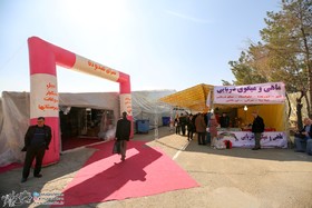 دومین دوره جشنواره خرید بهاره تهران