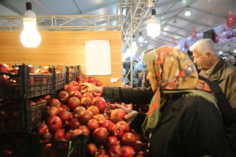 جشنواره انار و میوه های قرآنی