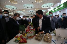 افتتاح نخستین نمایشگاه دستاوردها و توانمندیهای جهادی کشور