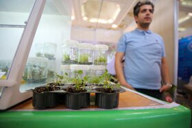 رویداد ملی گام دوم دانشگاه آزاد اسلامی «عصر امید»