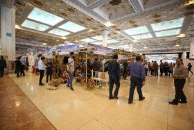 نمایشگاه شهر هوشمند و نخستین جشنواره نمانام‌های روستایی