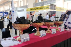 سیزدهمین دوره نمایشگاه بینالمللی فرصتهای سرمایهگذاری در معدن و صنایع معدنی ایران (ماینکس)