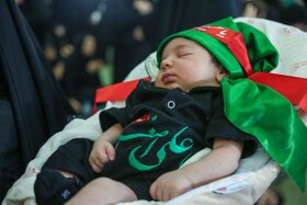 اجتماع بزرگ مادران و شیرخوارگان عاشورایی 1404